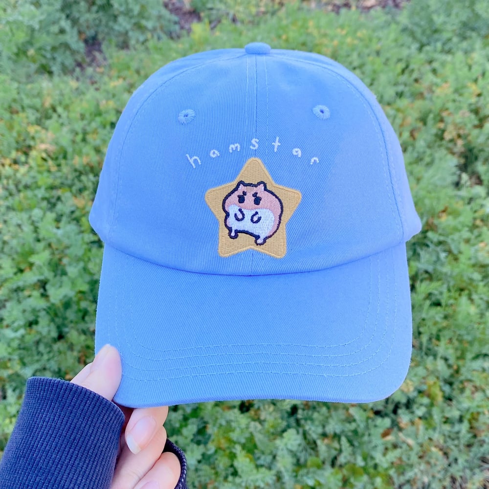 Hamstar Hat