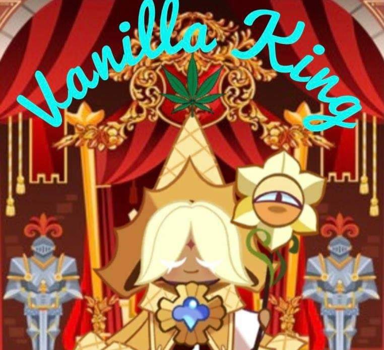 Vanilla King ( Island Life Seeds ) 5 pk