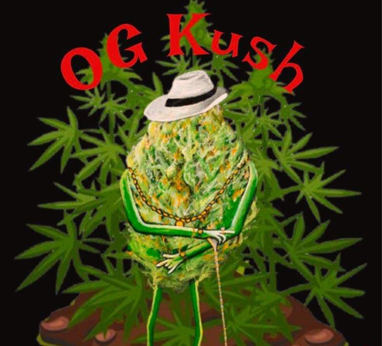 OG Kush ( Island Life Seeds ) 5 pk