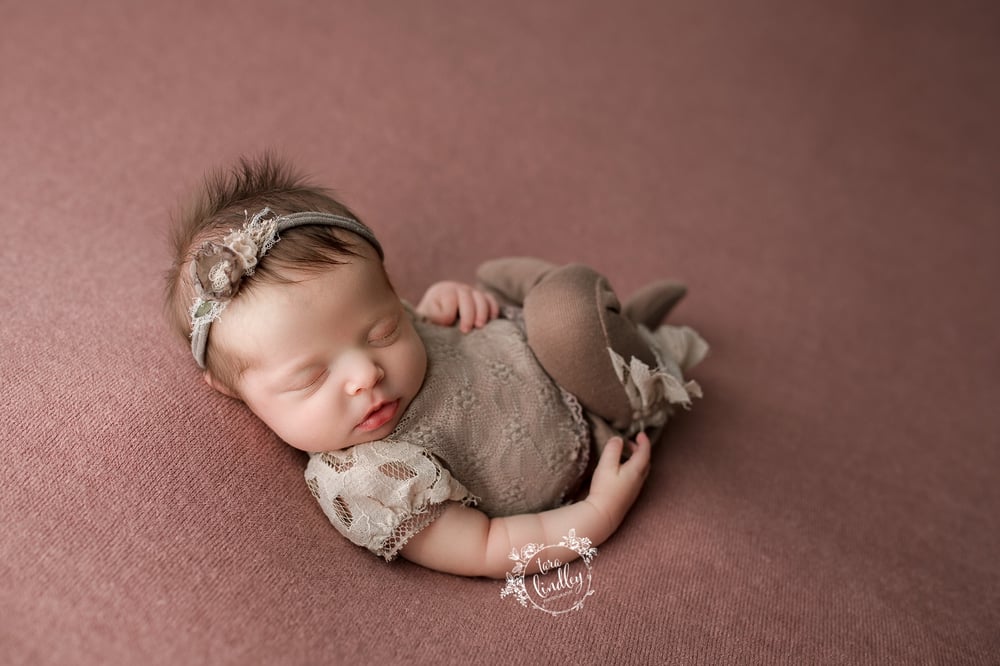 Image of Chloe thick knit Beanbag Backdrop in Dusty Rose