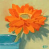 Gerbera Study