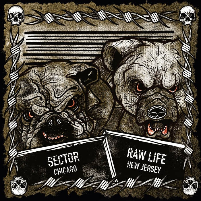 Image of Sector / Raw Life "Split" CD