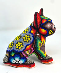 Image 2 of French Bulldog Puppy Vol 3 007