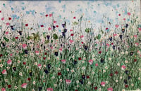 Image 1 of Wild Flower Meadow