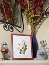 Genuine White Chrysanthemum Wildflower Art In 8" X 10" Frame (Item# 2022068)