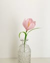 Fiori di carta - tulipano