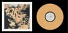 Gestures - Amber Color 12" Vinyl (Pre-order)