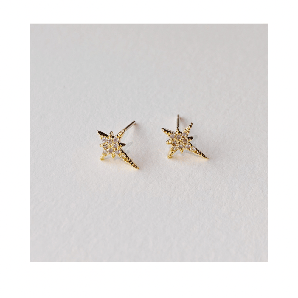 Image of Sirius Stud Earrings