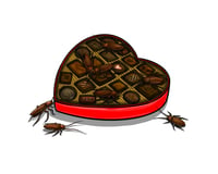 Image 1 of Love Bugs (8X10)