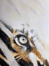 Eye of the Tiger by James M. K. Davis