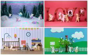 Individual Squeak Show Cards