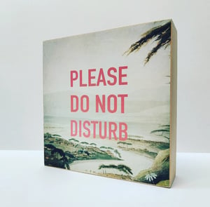Image of Please do not disturb