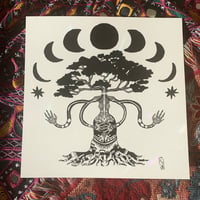Elder Tree Energy (Day)