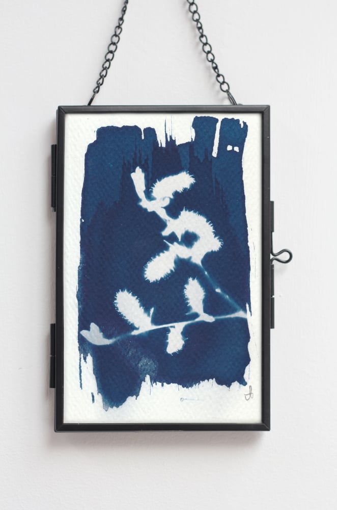 Goat Willow Print (Blue Tone)