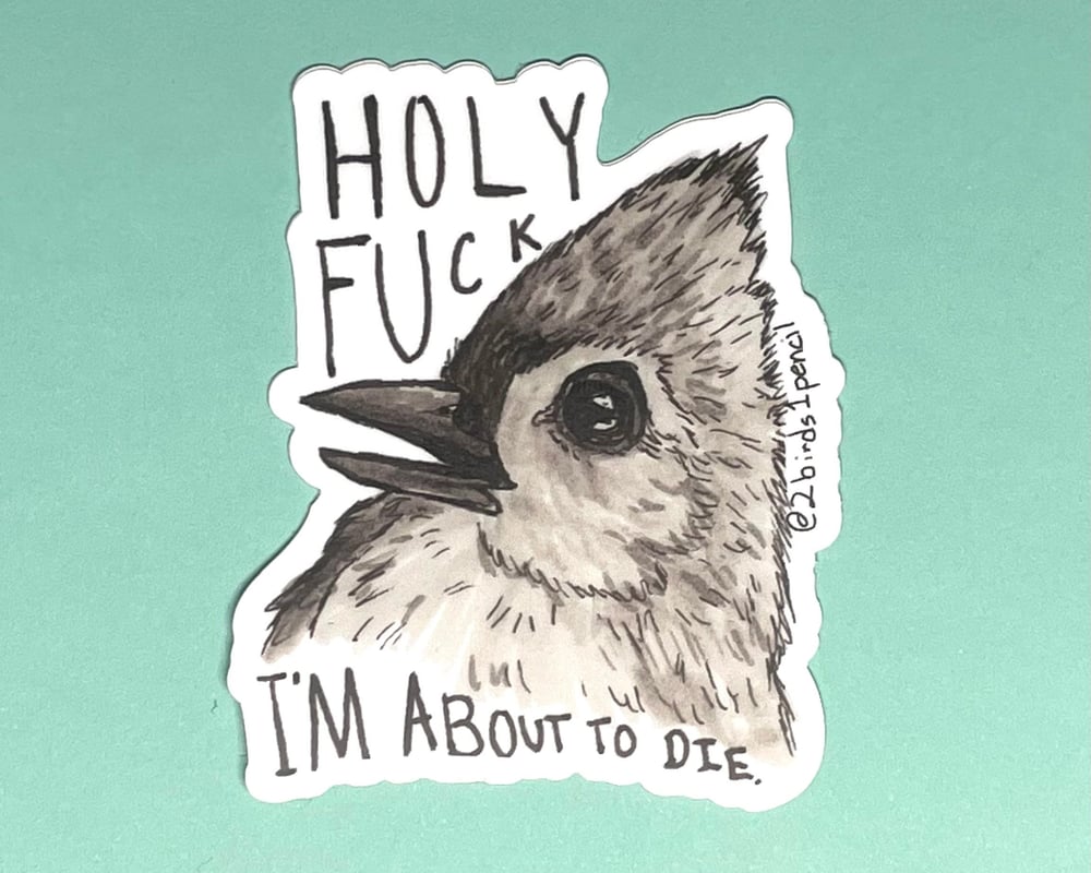 Image of You Used to Say bird vinyl sticker - Inspired by lyrics from the Front Bottoms
