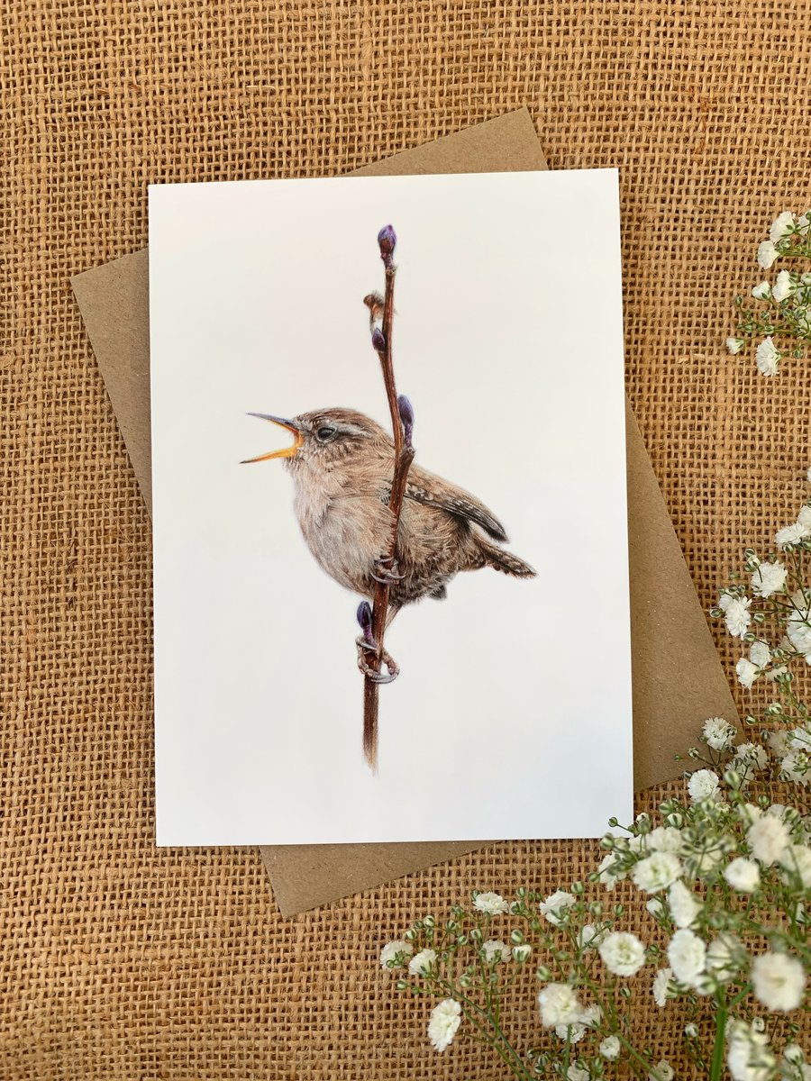 'Wren' Greetings Card Anna Hamilton Art