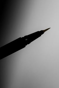 Image 4 of BROWN BEAR TABOO LINER