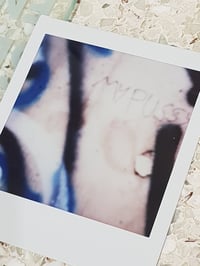 My Pussy Polaroid 