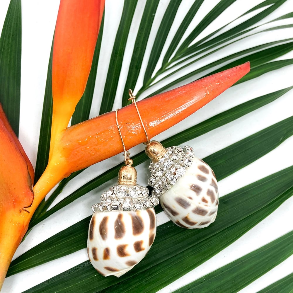 Image of SPARKLING  REEF  EARRINGS /SPIRATA
