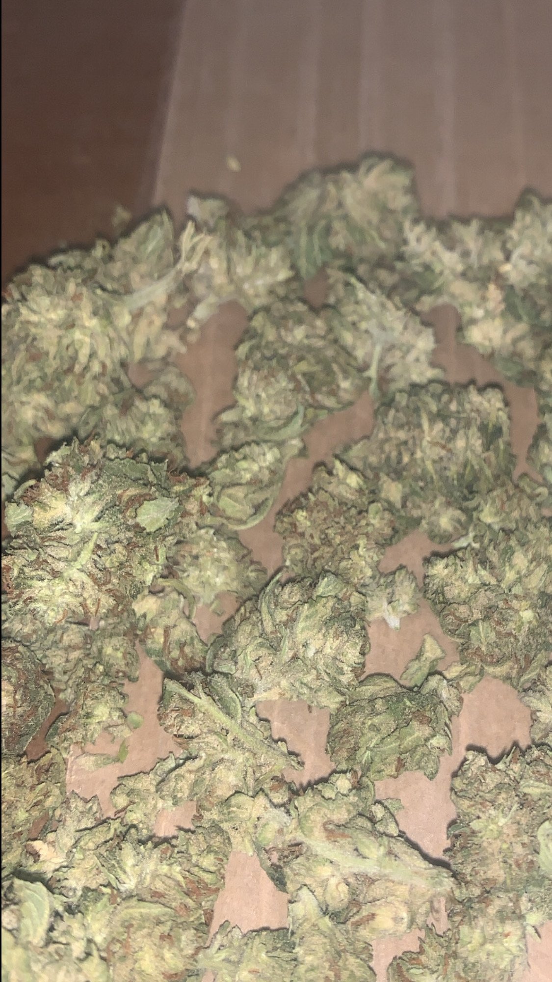 Movie Prop Ounce ( Top Shelf )