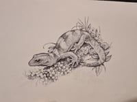 Black-eyed Gecko Original Artwork