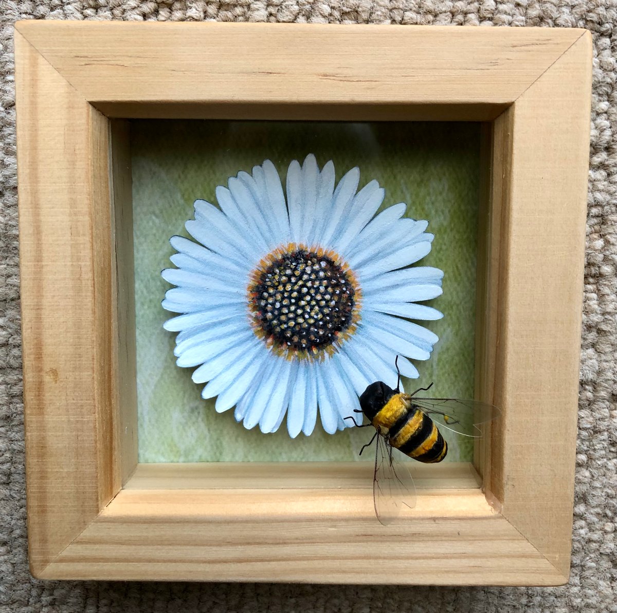 Image of Framed Daisy with Honey bee Paper sculpture.