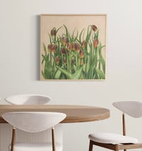 Image 1 of Seeking The Light | Fritillaria Uva Vulpis