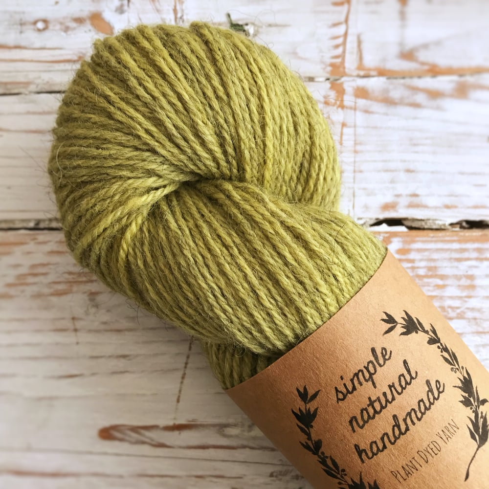 Image of Tansy BFL/Gotland DK