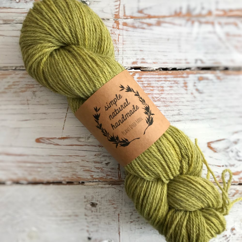 Image of Tansy BFL/Gotland DK