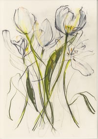 Tulip study no. 1