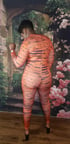 Tiger Suit Image 2