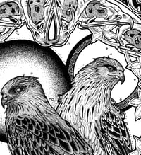 Image 2 of Red Kites