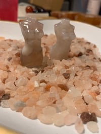 Image 2 of Flower Agate Bodies