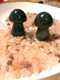 Image 1 of Moss Agate Mushrooms