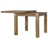 Extendable Compact Dining Table - Natural