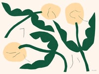 Image 1 of Fleurs jaunes