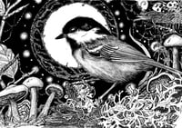 Image 1 of Coaltit - Meantán Dubh