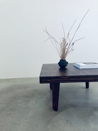 Image 3 of SINGI COFFEE TABLE