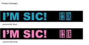 Image of SIC Jac Vanek Collab Bracelet