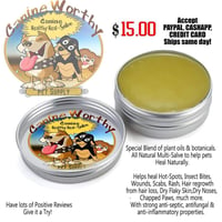 Healthy Heal Salve