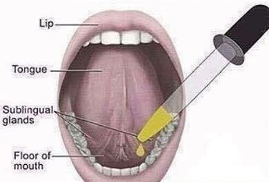 North American Herb & Spice Wild Mediterranean Oregano Oils w/P73. (73%-84% Carvacrol). Herpes.