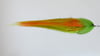 12" - 15" Synthetic T-bones