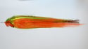 12" - 15"  Synthetic T-bones