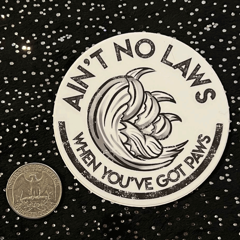 Image of Matte Vinyl Sticker: Ain't No Laws