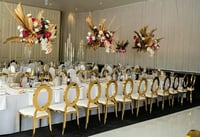 Image 3 of Adult Gold O ring stainless steel chair 
