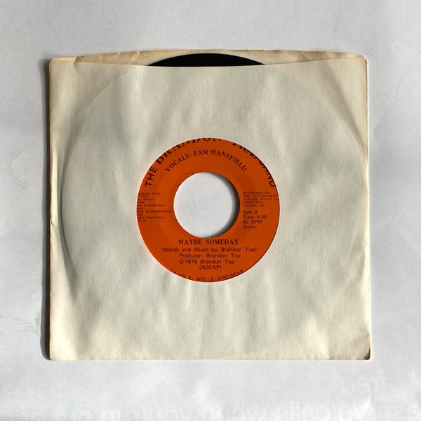 Image of THE BRANDON TISE BAND - MAYBE SOMEDAY 7"