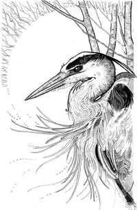 Image 1 of Heron and Birch