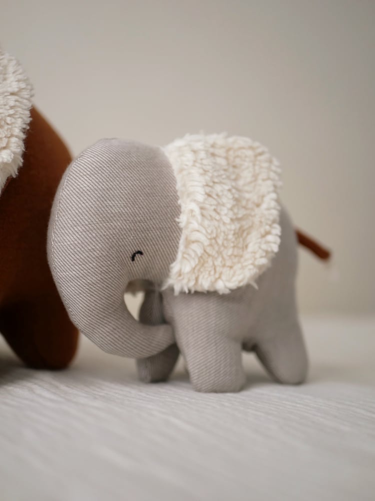 Image of ELEPHANT bébé / Baby ELEPHANT