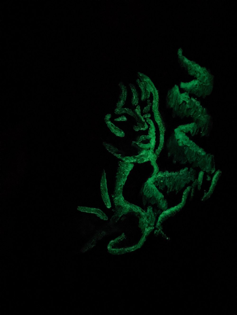 Image of Northern lights