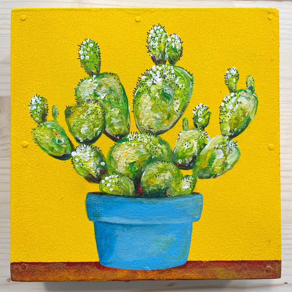 Image of Tiny Cactus 